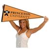College Flags & Banners Co. Princeton Pennant Full Size Felt view 4