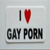 3 - I Love Gay Porn Hard Hat/Helmet Stickers 1 x 2 view 1