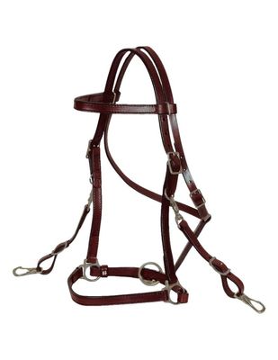 Circle Y Trail Halter/Headstall Horse BRN