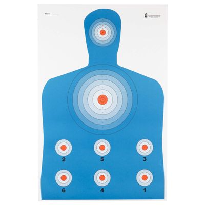 ACTION TARGETS PR-CQ1 HI VIZ FLRSNT SIL HG 100 PA