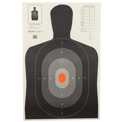 ACTION TARGETS B-27E PROS ECON PROS DK/LT SIL TRGT 10