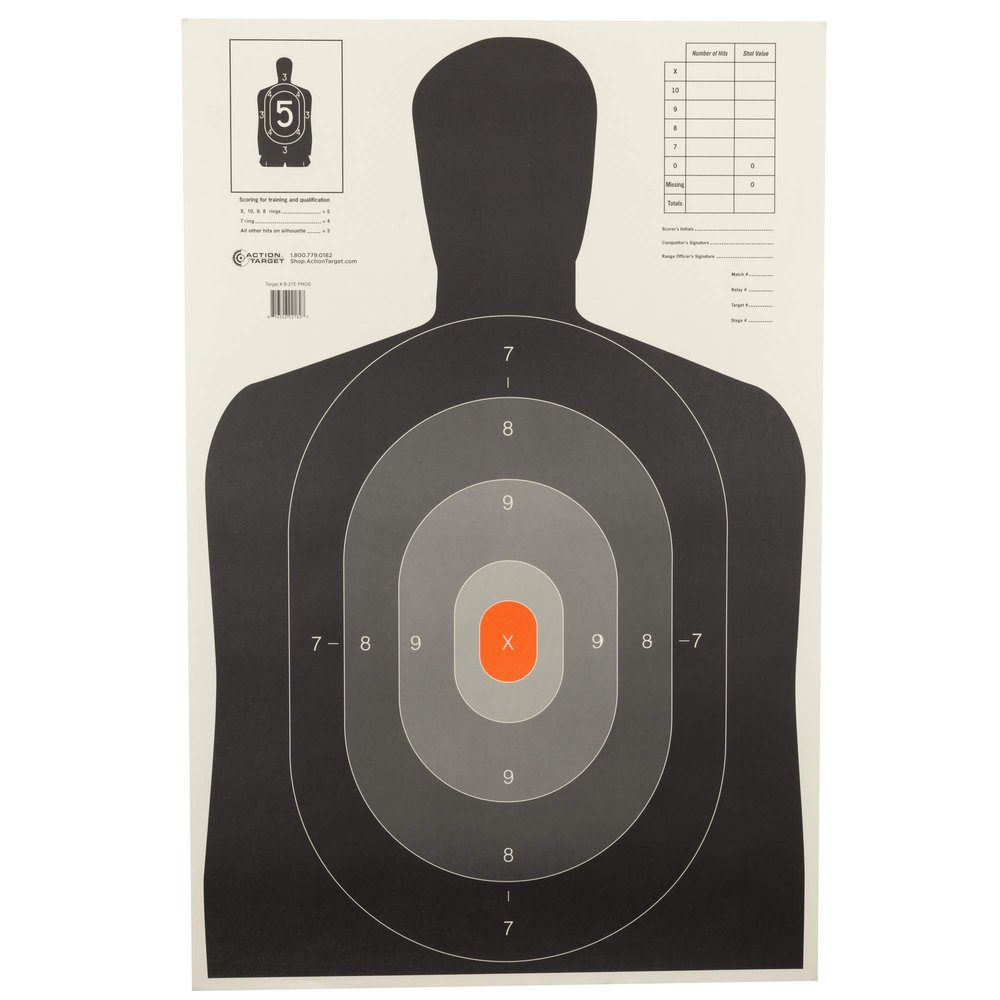 ACTION TARGETS B-27E PROS ECON PROS DK/LT SIL TRGT 10