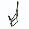 Padded Leather Head Collar - brown - cob view 1