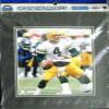 Autograph Warehouse 82999 Brett Favre 8 x 10 Photo Matted Green Bay Packers Image No .1