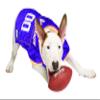 NFL MINNESOTA VIKINGS DOG Jersey, X-Large view 4