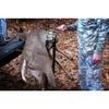 Viking Solutions Loading Assistant Deer Hoist for Large Game Animals, L-E-VATOR view 2