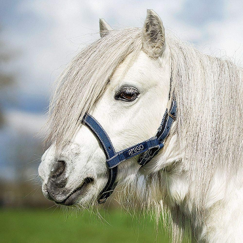 Horseware Ireland Amigo Headcollar