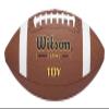 Wilson TDY Official Composite Football, age 11-14 view 1