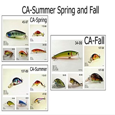 Akuna Seasonal Lures for Bass Fishing for Each of The USA 50 States (Pack of 15), California, Spring/Summer/Fall