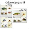 Akuna Seasonal Lures for Bass Fishing for Each of The USA 50 States (Pack of 15), California, Spring/Summer/Fall view 1