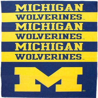 Littlearth Unisex-Adult NCAA Michigan Wolverines Superdana Neck Gaiter, Team Color, 10" x 19"