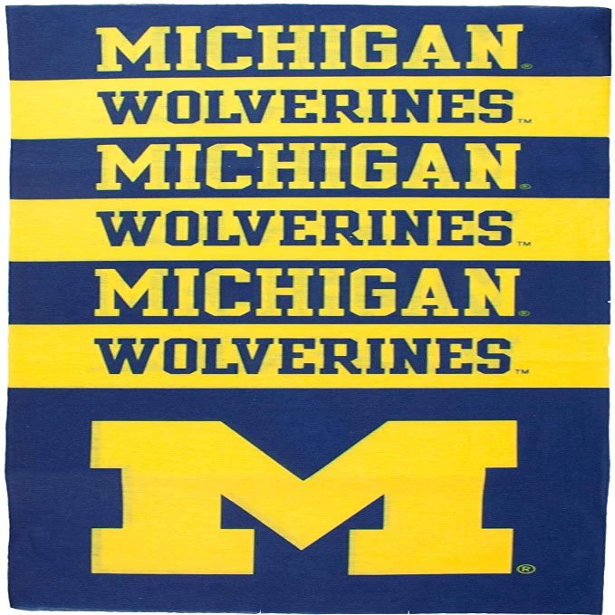 Littlearth Unisex-Adult NCAA Michigan Wolverines Superdana Neck Gaiter, Team Color, 10" x 19"