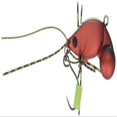 Jackson Minnow Chinukori 1.2 inches (31 mm), 0.2 oz (7 g), Shrimp Chili EC Lure