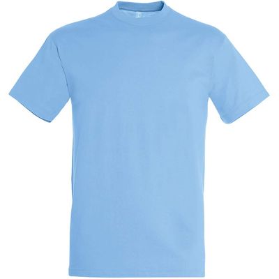 SOLS Mens Regent Short Sleeve T-Shirt (XS) (Mouse Grey)
