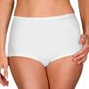 Shadowline Women's Plus Size Nylon Classics Full Brief Panty 17017P 11 White view 1
