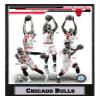 Encore Select 512-05 NBA Chicago Bulls Plaque Sports Memorabilia with Custom Metal Name Plate, 9-Inch by 12-Inch view 1