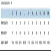 Next Level Men's CVC Jersey T-Shirt, Indigo, X-Large (Pack of 5) view 2