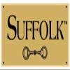 Suffolk Premier Fancy Dressage Browbands Silver Chain Oversize view 2