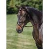 Dover Saddlery Figure-8 Bridle, Color: Brown, Size: Horse-F/S view 1