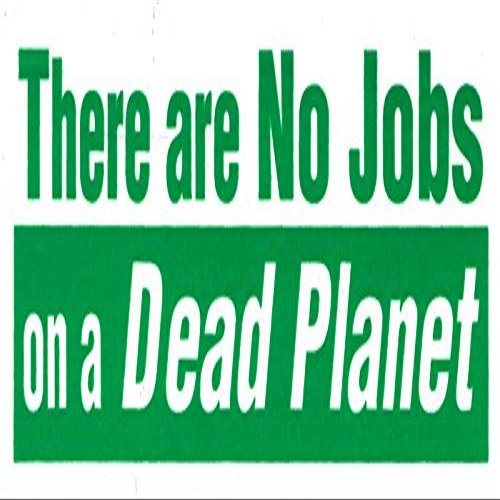 There are NO Jobs on a Dead Planet - Small Bumper Sticker or Laptop Decal (4.5" X 1.5")