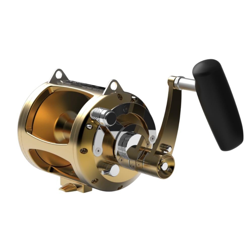 Avet Reels EXW50/2RH-GD 2-Speed Reel, Gold, Right Hand