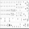 FUNCTION KEYS for DESKTOP NON-TRANSPARENT KEYBOARD LABELS WHITE BACKGROUND 14X14 view 1
