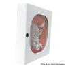 Aquatic Technology Safety Station Cabinet for 30 Inch Life Ring Buoy-Includes Throw Line view 2
