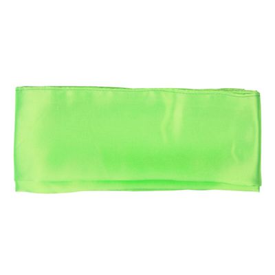 Tiger Claw Kung Fu (Kungfu) Sash (Light Green)