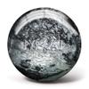Pyramid Path Bowling Ball (Black/Silver, 14LB) view 2