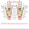 Reflexology Foot Massage Mat Stay Home Health Care Exercise Garden Walkway Yoga Mat Fathers Day Mothers Day Christmas New Year Gift view 3