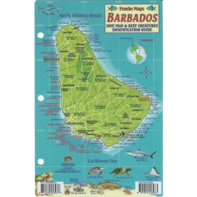 Frankos Maps Barbados Reef Creatures Fish ID-Card
