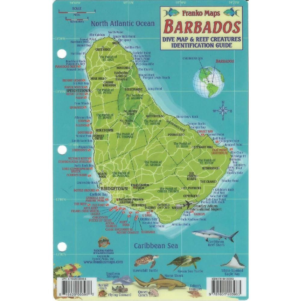 Frankos Maps Barbados Reef Creatures Fish ID-Card