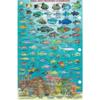 Frankos Maps Barbados Reef Creatures Fish ID-Card view 2