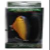 NORIES #175M 11719 Pencil Bait, Upper Cutter, 3.7 inches (95 mm), 0.4 oz (10.8 g), Matte Trad Black Gold view 1