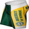 Adrenaline Promotions NCAA Vermont Catamounts Men's Cycling Shorts, Large, Green/Yellow view 1