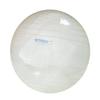 Gymnic LP9655 Opti Ball 55, Made in Italy view 1
