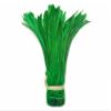 1/2 Yard - 8-10" Kelly Green Strung Natural Bleach & Dyed Rooster Coque Tail Wholesale Feathers (Bulk) Mardi Gras Costume Supply | Moonlight Feather view 1