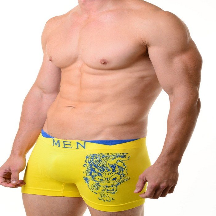 Fashion Mic Men's Basic Casual Seamless Boxer Briefs-Flaming Dragon Print (one Size, Yellow)