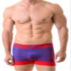 Fashion Mic Men's Basic Casual Seamless Boxer Briefs-Ancient Tiger Print (one Size, red) view 1