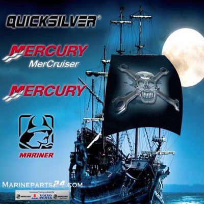 MERCURY Swivel PIN ASY-BK