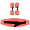 Eif 20-4212R CanDo Aquatic Exercise Kit, Large, Red view 1