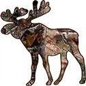 1 - 5" Moose Decal Hunting Camo Vinyl Sticker