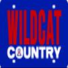 Arizona Wildcats Country 11685 SD Laser License Plate Tag University of view 1