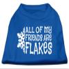 Mirage All my Friends are Flakes Screen Print Shirt Blue XS (8) view 1