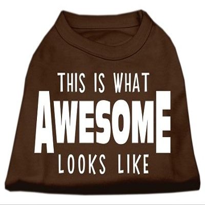 Mirage Pet Products This is What Awesome Looks Like Dog Shirt Brown XL (16)