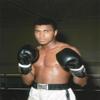 Box Boxing great Muhammad Ali in the ring - 20"x24" Photo view 1