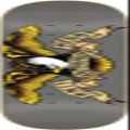 Antihero Classic Eagle XXL 8.25 Grey Skateboard Deck