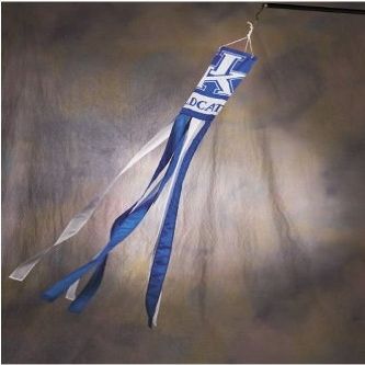 BSI Kentucky Wildcats 60" Windsock