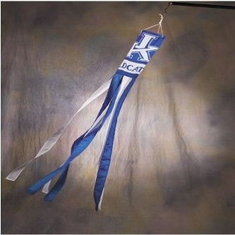 BSI Kentucky Wildcats 60" Windsock
