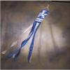 BSI Kentucky Wildcats 60" Windsock view 1